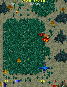 Play Dragon Spirit New Version Ds3 — Arcade retro game
