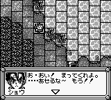 Play Bakuchou Retsuden Shou Hyper Fishing Japan — Game Boy retro game