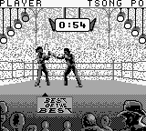 Play Best Of The Best Championship Karate Europe — Game Boy retro game