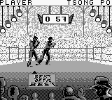 Play Best Of The Best Championship Karate Usa — Game Boy retro game