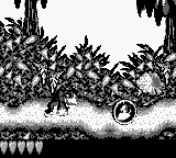 Play Donkey Kong Land Usa Europe — Game Boy retro game