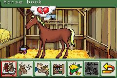 Play Boy Advance Pferd & Pony - Mein Pferdehof (E)(Rising Sun) — gameboyadvance retro game