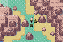 Play Boy Advance Pokemon Emerald Extreme Randomizer — gameboyadvance retro game