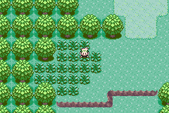 Play Boy Advance Pokemon Emerald Rebirth Reborn — gameboyadvance retro game