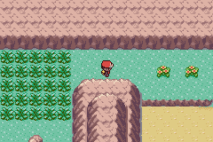 Play Boy Advance Pokemon Emerald Rogue EX 1.3.0 — gameboyadvance retro game
