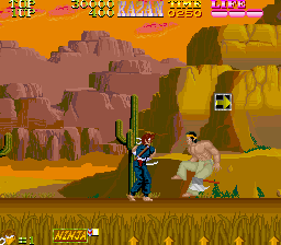Ninja Kazan World