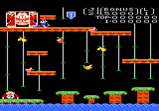 Donkey Kong Junior Usa