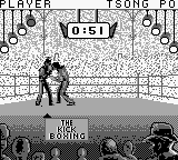 Kick Boxing The Japan
