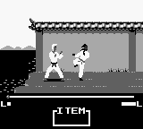 Master Karateka Japan