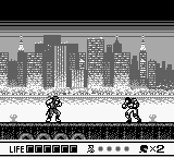 Ninja Gaiden Shadow Usa