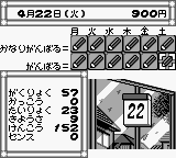 Pocket Love Japan