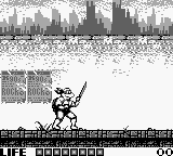 Teenage Mutant Ninja Turtles Japan