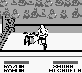 Wwf King Of The Ring Japan