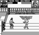 Wwf Superstars 2 Usa Europe
