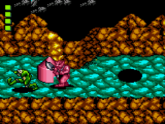 Play NES Battletoads (USA)