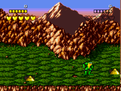 Play Genesis Battletoads (World)