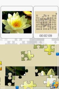 DS Blumen & Muster Puzzle - Echter Puzzlespass fuer Unterwegs (Europe) (En,Fr,De,Es,It)