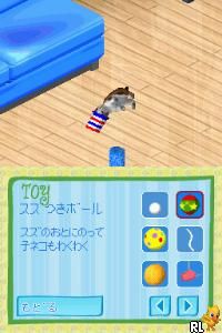 DS Catz (Japan)