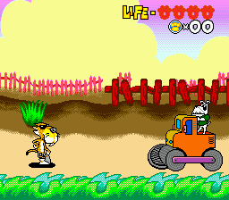 Play SNES Chester Cheetah - Too Cool to Fool (USA)
