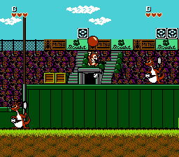 Play NES Chip & Dale: Tale Spin Levels