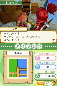 DS Cross Treasures (Japan)