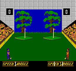 Play NES Double Dare (USA)