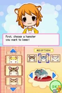 DS Hamsterz Life (USA)