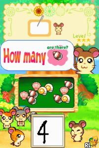 DS Hi! Hamtaro - Ham-Ham Challenge (USA)