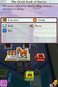 DS Imagine - Boutique Owner (USA) (En,Fr,Es)