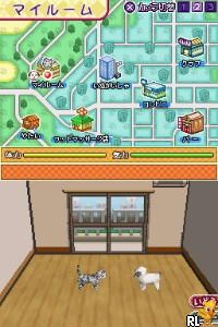 DS Inu Gaisha (Japan)