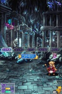 DS Kimi no Yuusha (Japan)