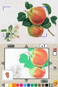 DS Kokoro o Yasumeru - Otona no Nurie DS (Japan)