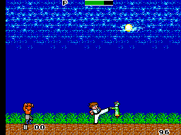 Master System Kung Fu Kid (USA, Europe)