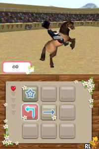 DS Mary King's Riding School (Europe) (En,Fr,De,Es,It)