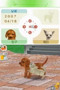 DS Nintendogs - Chihuahua & Chingudeul (Korea)