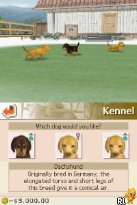 DS Nintendogs - Dachshund & Friends (USA)