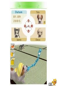 DS Nintendogs - Labrador & Friends (Europe) (En,Fr,De,Es,It)