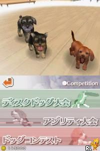 DS Nintendogs - Miniature Dachshund & Friends (Japan)