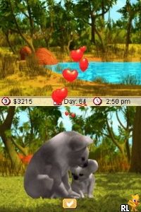 DS Paws & Claws - Pet Vet - Australian Adventures (USA)