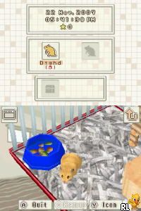 DS Petz - Hamsterz Life 2 (USA)