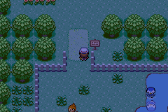 Boy Advance Pokemon Exceeded v9.0