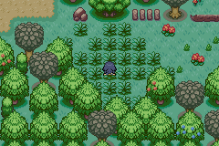 Boy Advance Pokemon Odyssey Complete v4.1.1