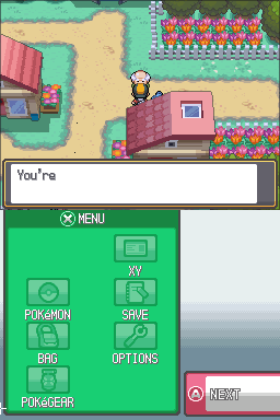 DS Pokemon Perfect Heart
