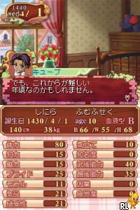 DS Princess Maker 4 - Special Edition (Japan)
