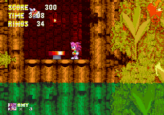 Play Genesis Sonic 3 and Amy Rose