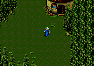 Play Genesis Sorcer Kingdom (Japan)