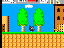 Master System Super Wonder Boy - Monster World (Japan)