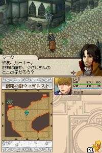 DS WiZmans World (Japan)